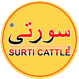 Surti Cattle Farm